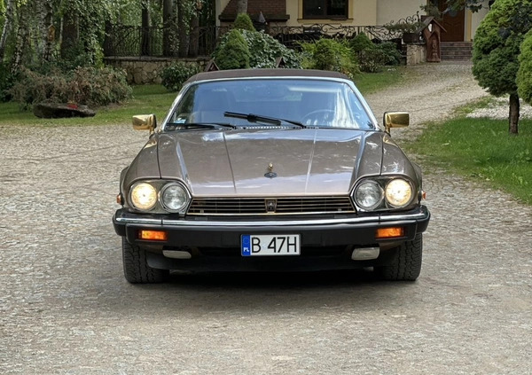 Jaguar XJS cena 65000 przebieg: 36331, rok produkcji 1990 z Augustów małe 211